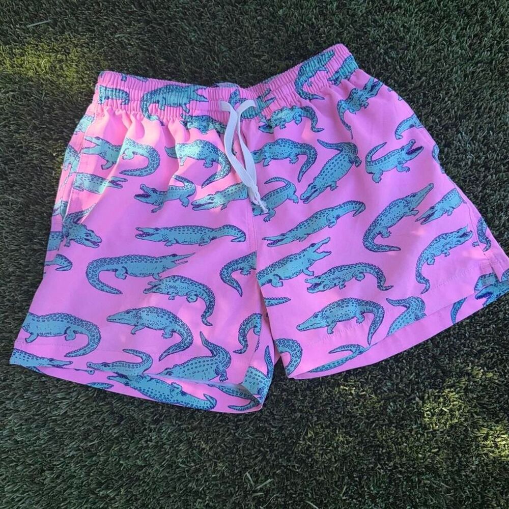 Chubbies Men's multi Swim-briefs-shorts